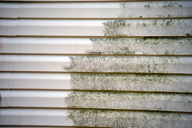 Best Mattress Disposal  in Minco, OK